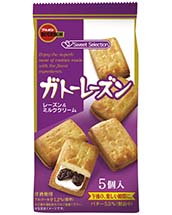 ガトーレーズン